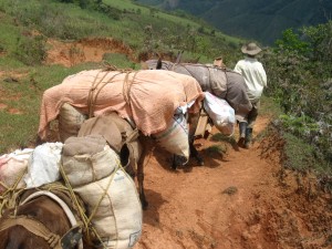 Los arrieros son aquellos que cantaban: ¡Arre!