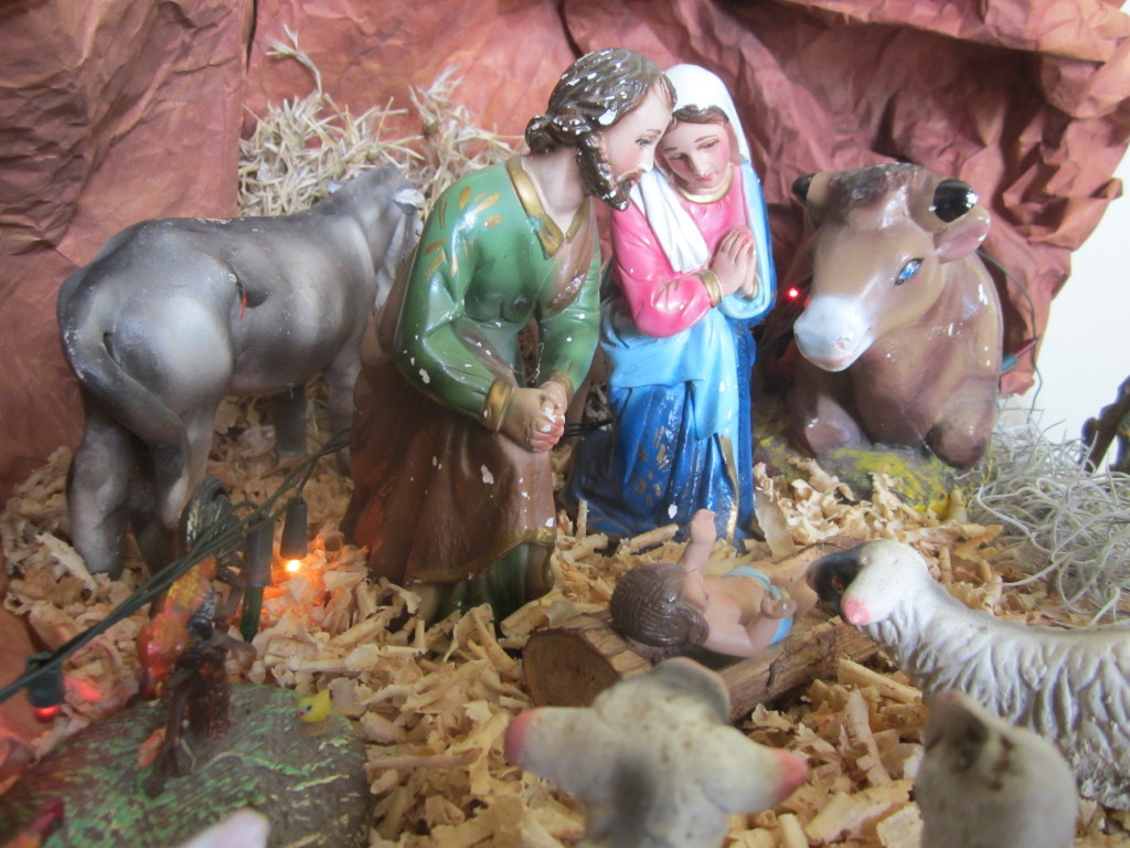 Homilía para la Misa de Navidad 2014 (25 de diciembre)
