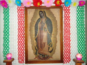 altar-a-la-virgen-de-guadalupe-foto-jesus-reynaga-rito