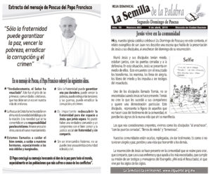 Semilla 863 8 -04 -18