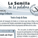 Semilla 1293